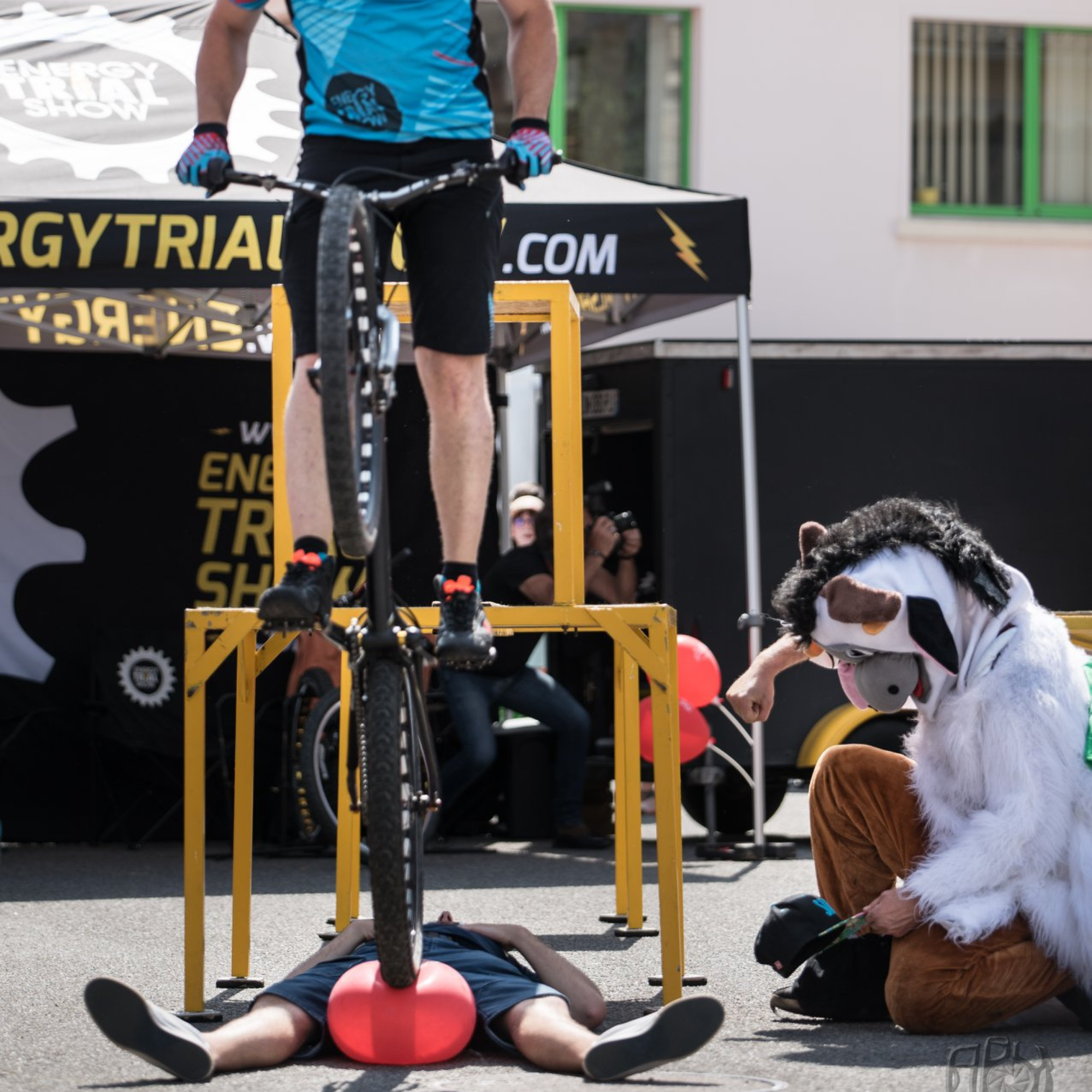 vtt trial show